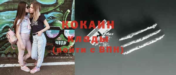 молекула духа Алексин