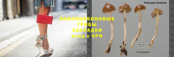 гидропоника Алзамай