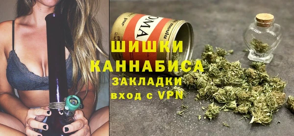 гидропоника Алзамай