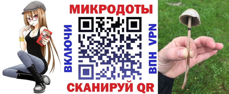 Псилоцибиновые грибы прущие грибы  Бахчисарай 