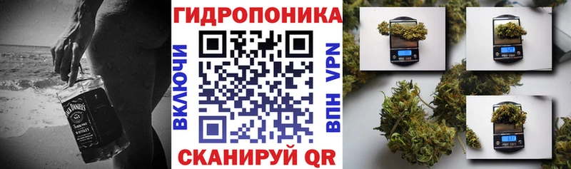 наркота  Бахчисарай  Бошки марихуана планчик 